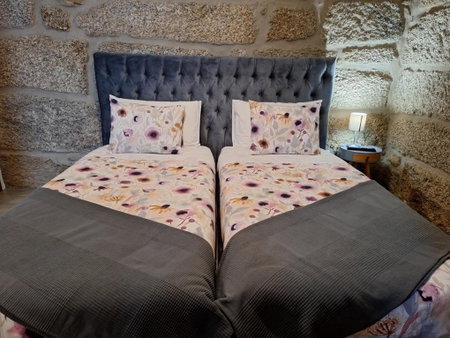 Villa Boas House, Castro Daire, Portugal
