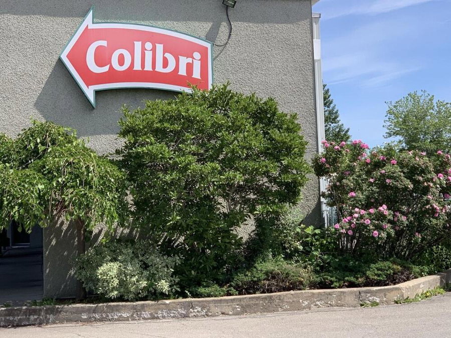 Motel Colibri, Montréal, Canada
