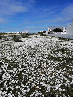 De Loft, Jacobs Bay, South Africa