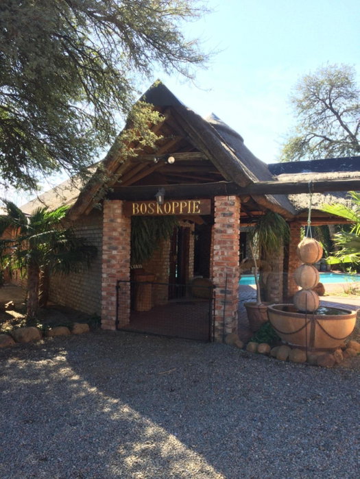 Boskoppie Lion & Tiger Reserve, Kroonstad, South Africa