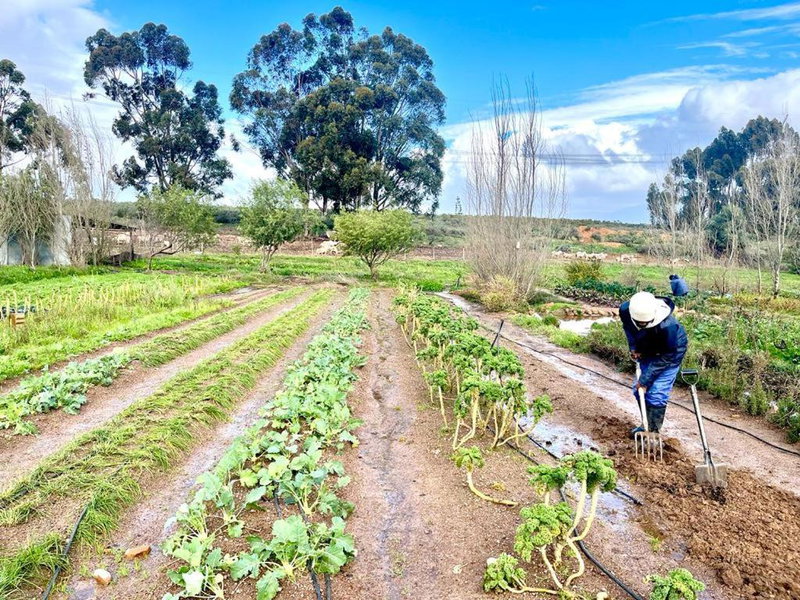 Eikelaan Farm Cottages, Tulbagh, South Africa