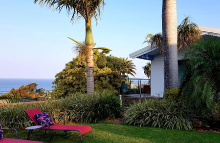 The Lazy Shark, Freeland Park, South Africa