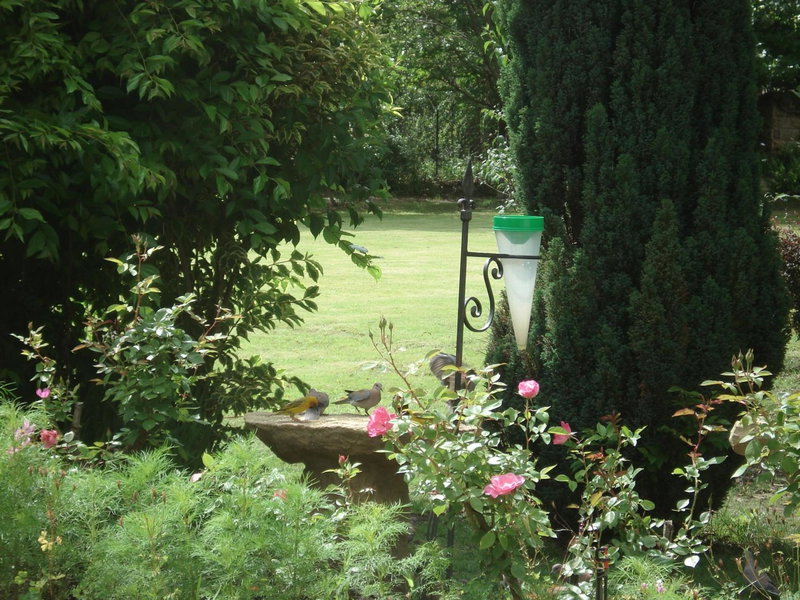 Peebles Cottage, Clarens, South Africa