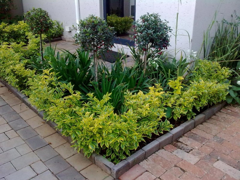 Rosebank Lodge Guesthouse by Claires, Johannesburg, South Africa