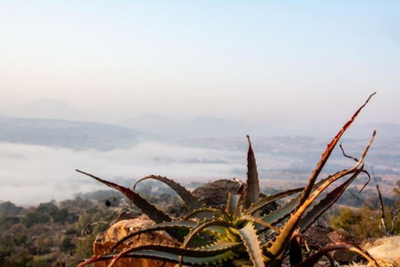 OPPIBERG GUEST HOUSE and SPA, Hartbeespoort, South Africa