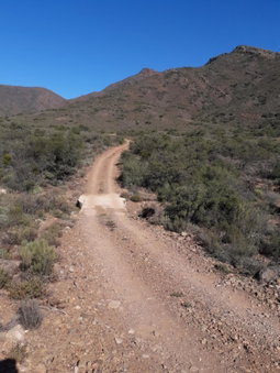 RoamRooiberg, Robertson, South Africa