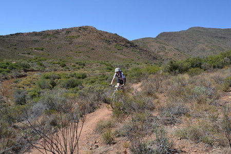 RoamRooiberg, Robertson, South Africa