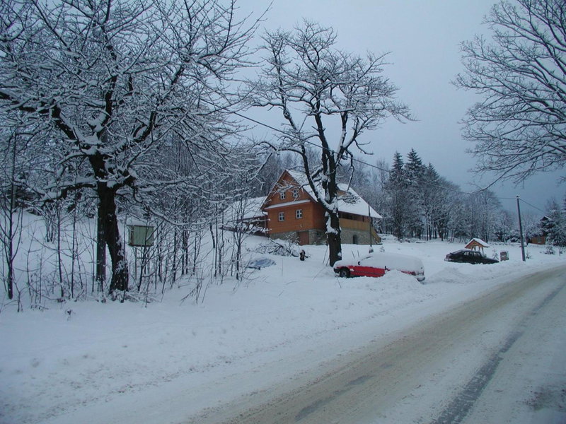 Chata u lesa, Výprachtice, Czechia