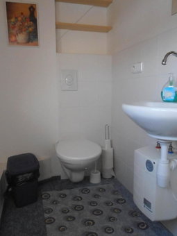 Chata u lesa, Výprachtice, Czechia