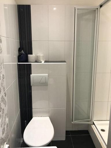 Stara Louka Apartments, Karlovy Vary, Czechia
