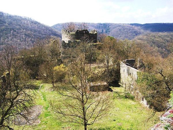 Garden apartments, Znojmo, Czechia