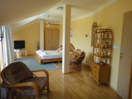 Hotel Monaco, Náměšť nad Oslavou, Czechia
