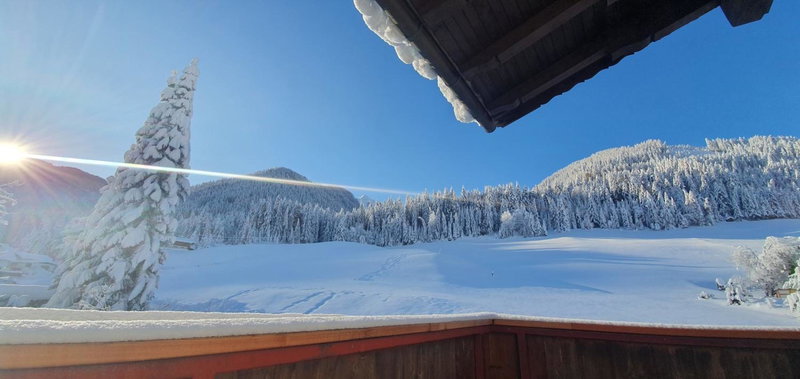 Haus Enzian Apartments, Kartitsch, Austria