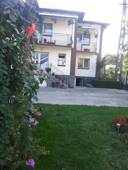 Pensiunea Diana, Arefu, Romania