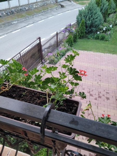 Pensiunea Diana, Arefu, Romania