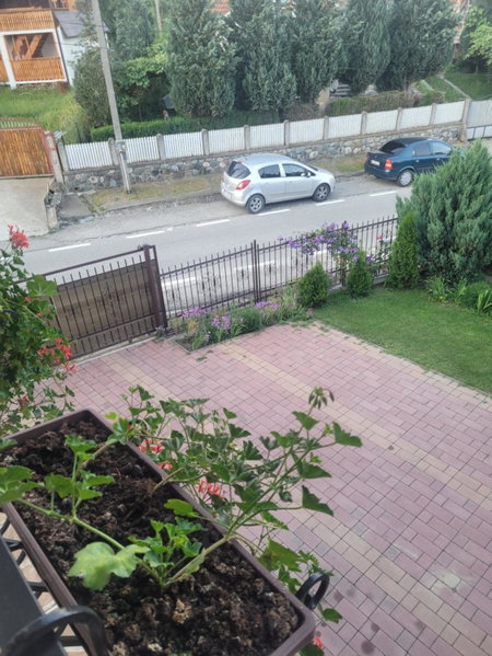 Pensiunea Diana, Arefu, Romania