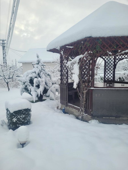 Pensiunea Diana, Arefu, Romania