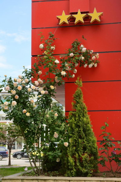 Hotel Select, Tulcea, Romania