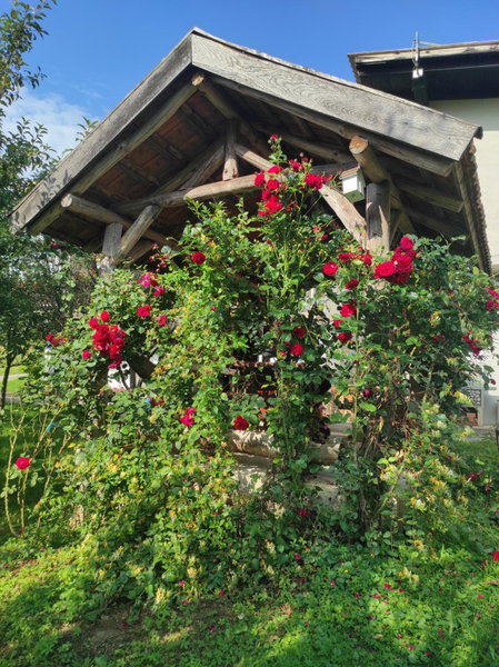 Apartman Leona, Rakovica, Croatia