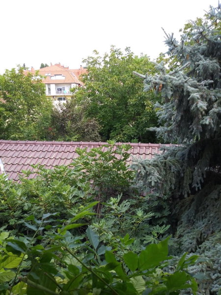 Balogh vendegház, Szeged, Hungary