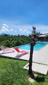 Finca Nuevo Monarca, Pereira, Colombia