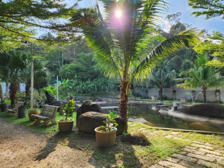 Rock Forest Chalet, Bentong, Malaysia