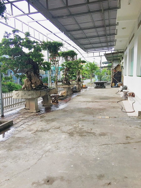 Chi Hieu Hotel, Bạc Liêu, Vietnam