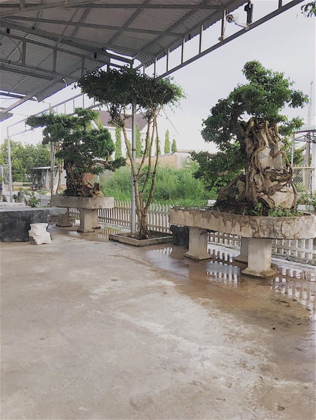 Chi Hieu Hotel, Bạc Liêu, Vietnam