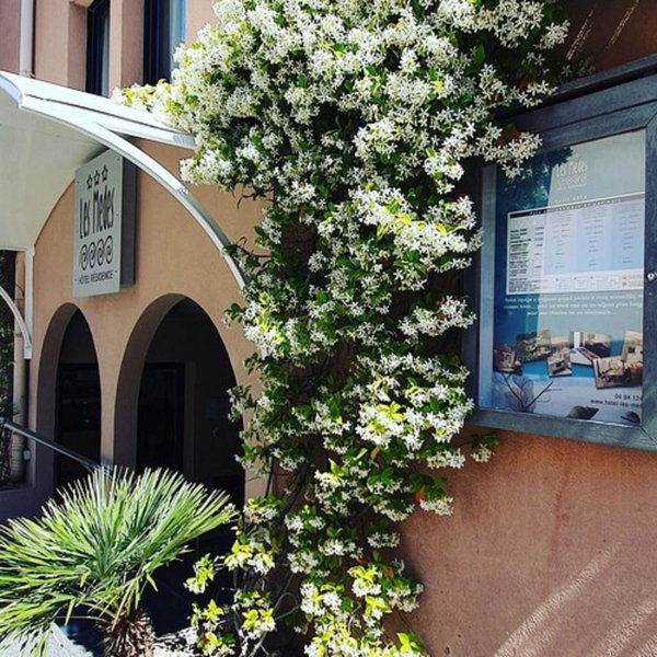 Hotel Résidence Les Mèdes, Hyères, France