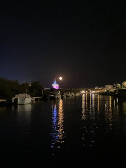 La lagune aux oiseaux, Palavas-les-Flots, France