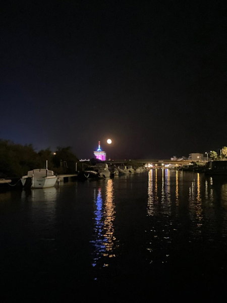La lagune aux oiseaux, Palavas-les-Flots, France