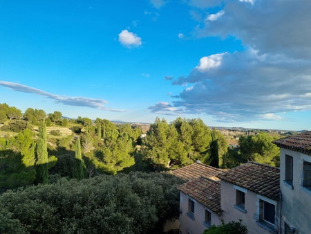 Les Garrigues de la Vallée des Baux, Paradou, France