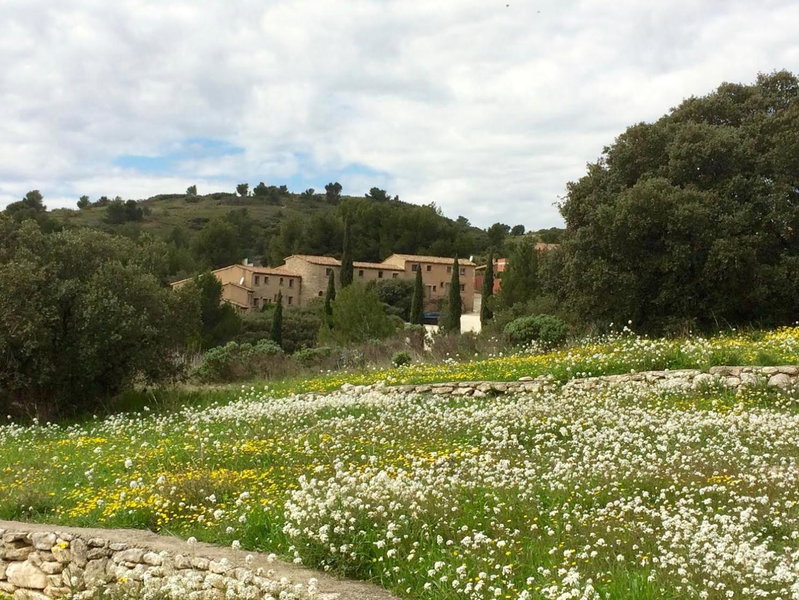 Les Garrigues de la Vallée des Baux, Paradou, France