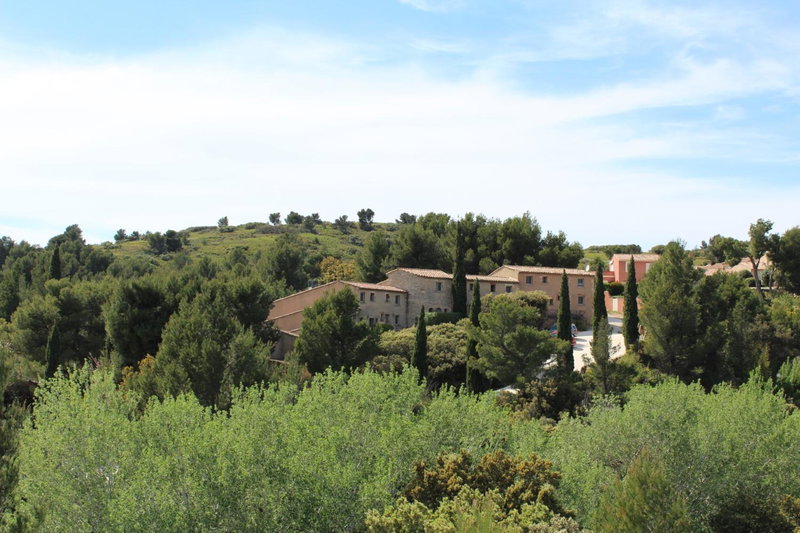 Les Garrigues de la Vallée des Baux, Paradou, France