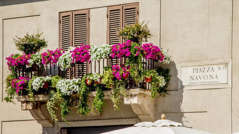 Rome Visits, Rome, Italy