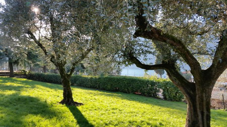 Villa Leilani B&B, Sale Marasino, Italy