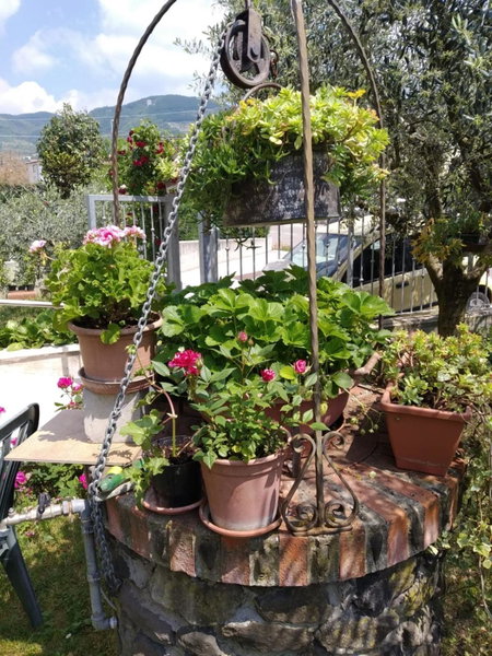Al Pozzo, Negrar, Italy