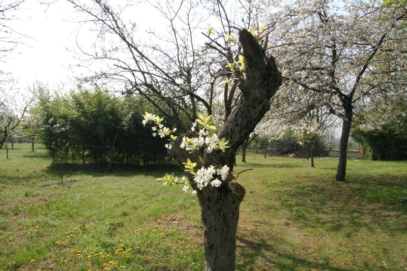 Agriturismo Corte San Girolamo, Mantova, Italy
