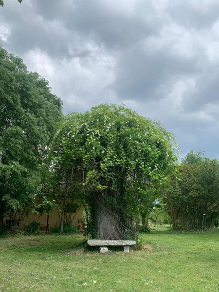 Agriturismo Corte San Girolamo, Mantova, Italy