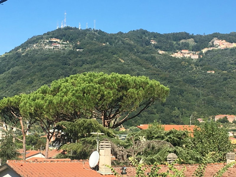 Mikeme, Carrara, Italy
