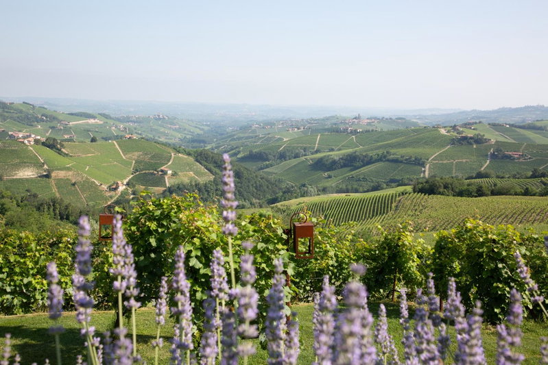 Agriturismo La Torricella, Monforte dʼAlba, Italy