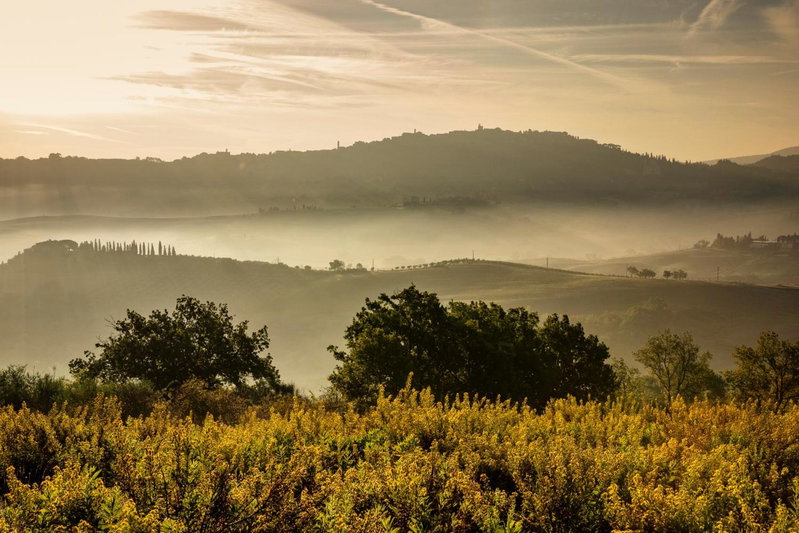 Lupaia, Montepulciano, Italy