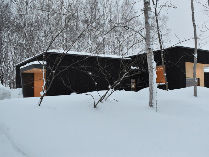 Birchwood Chalet, Niseko, Japan