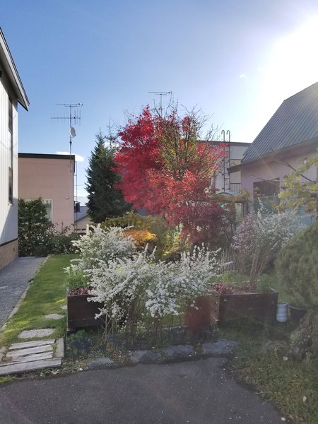 Donguri House, Furano, Japan
