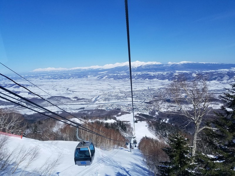 Donguri House, Furano, Japan