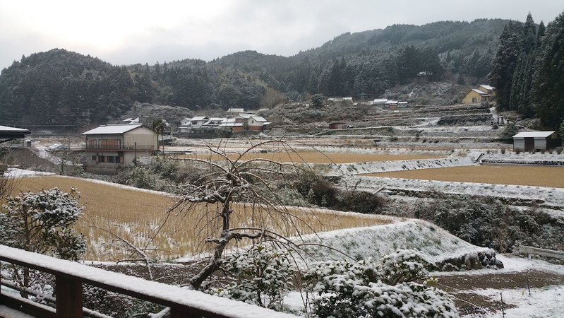 Ukiha Kojio no Akari, Ukiha, Japan