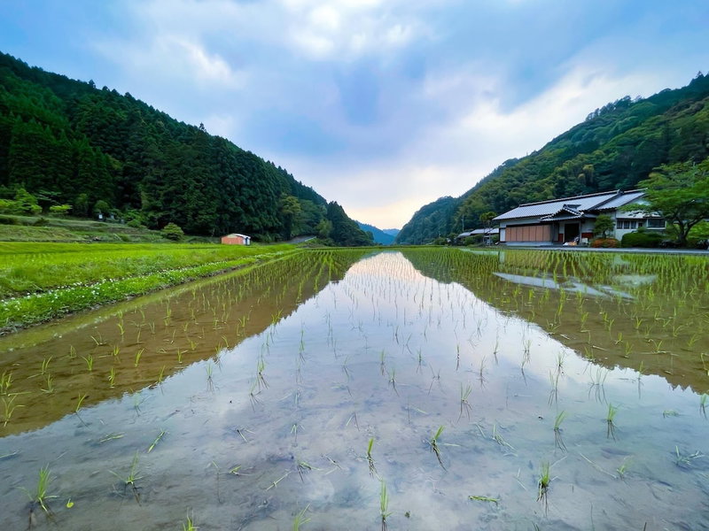 Ukiha Kojio no Akari, Ukiha, Japan