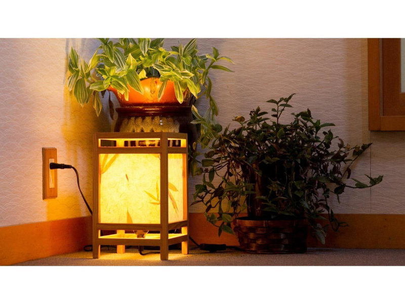 Shimaonsen AYAMEYA Ryokan - Vacation STAY 20611v, Shima, Japan