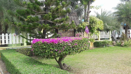 Wangnong Resort, Ubon Ratchathani, Thailand
