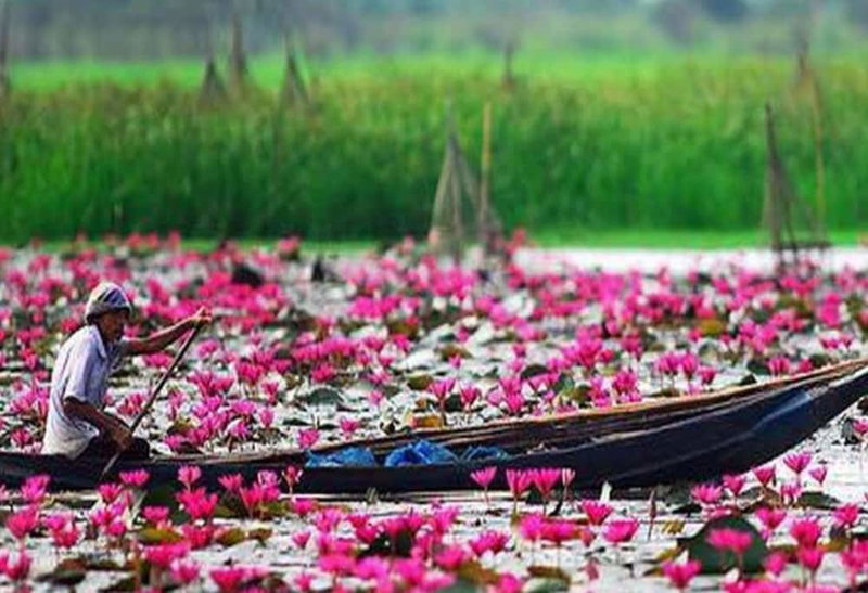 The Infinite Resort Nakhon Sawan, Nakhon Sawan, Thailand